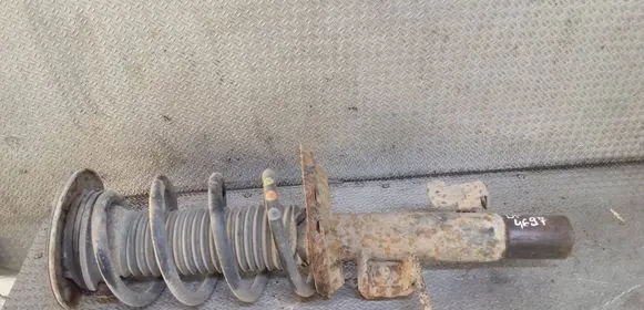 Ford S-MAX Front shock absorber with coil spring