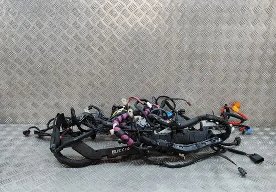 Tesla Model 3 Other wiring loom 256796407C