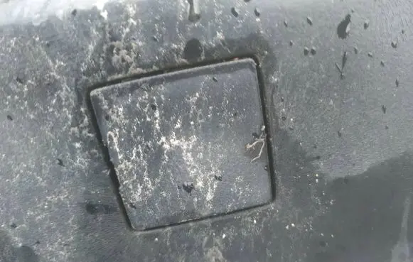 Citroen Jumpy Rear bumper row hook cap/cover 