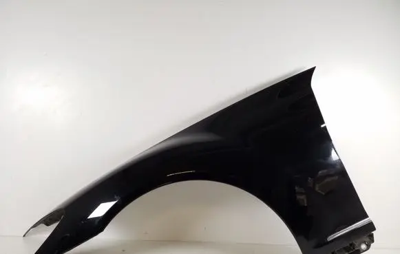 Mercedes-Benz CL C216 Fender
