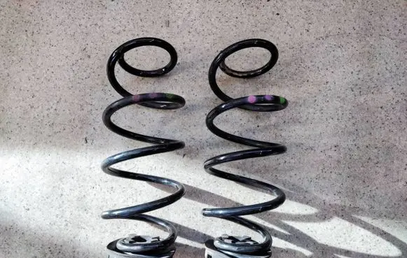 Renault Clio V Rear coil spring 