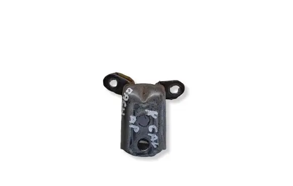 Nissan Qashqai Rear door lower hinge 