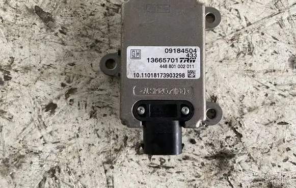Opel Signum ESP (stability system) control unit 09184504 448801002011 13665701