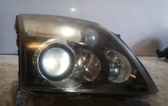 Opel Signum Headlight/headlamp 15987200