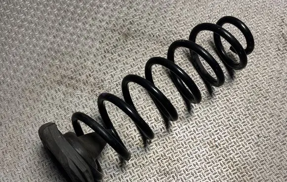Renault Megane IV Rear coil spring 552400003R