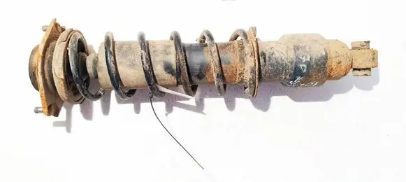 Rear shock absorber/damper