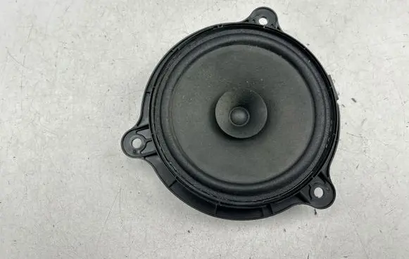 Front door speaker