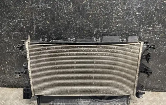 Citroen Jumper Radiator set 1379297080
