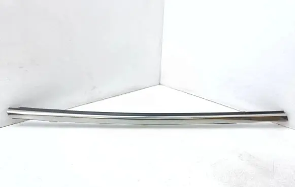 Rear door trim (molding)