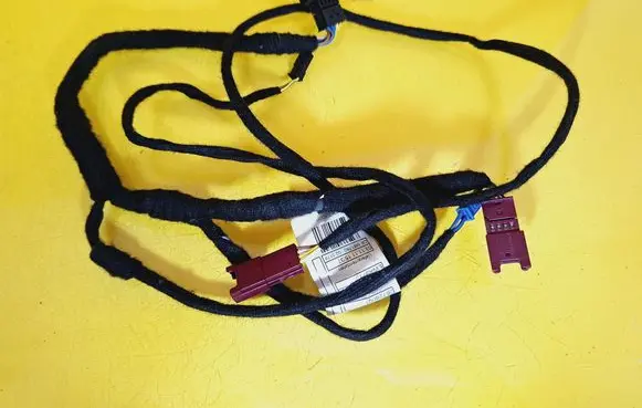 Front door wiring loom