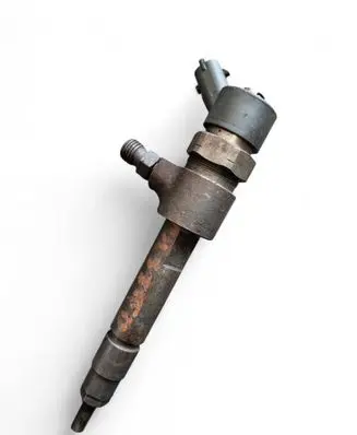 Fiat Punto (188) Fuel injector 0445110119