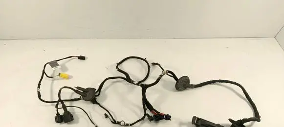 Audi Q5 SQ5 Front door wiring loom 8R0971029