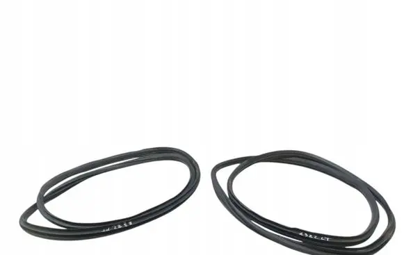 Honda Civic X Rubber seal front door (on door) 