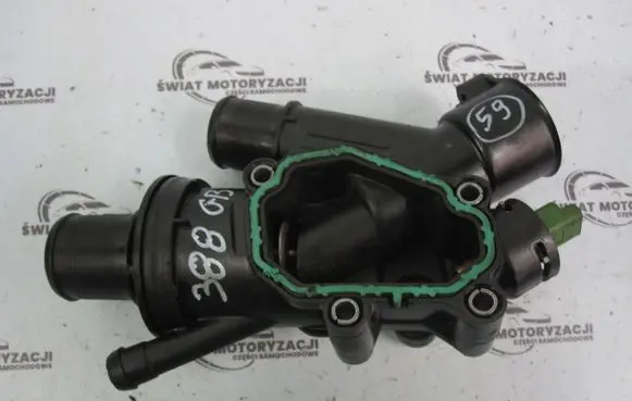 Thermostat/thermostat housing