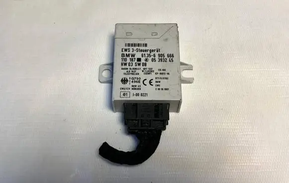 BMW 5 E39 Immobilizer control unit/module 61356905666 05393245 6905666