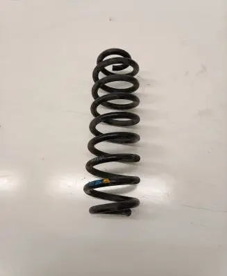 Dacia Spring Rear coil spring 550200356R