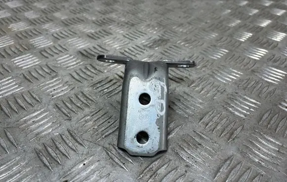 Rear door lower hinge
