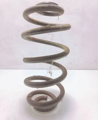 Rear coil spring