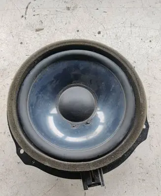 Front door speaker