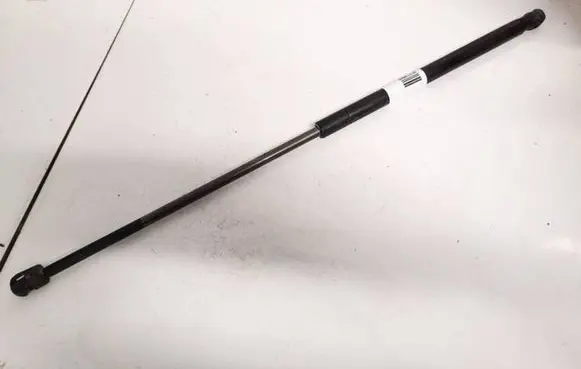 Tailgate/trunk strut/damper