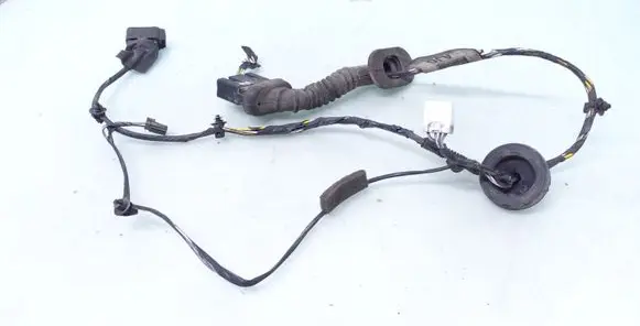 Rear door wiring loom