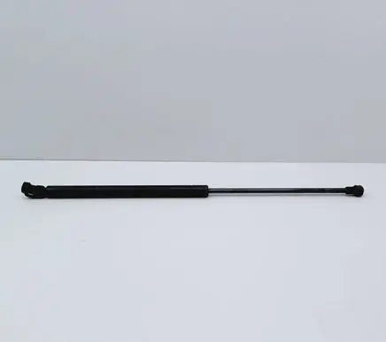 Tailgate/trunk strut/damper