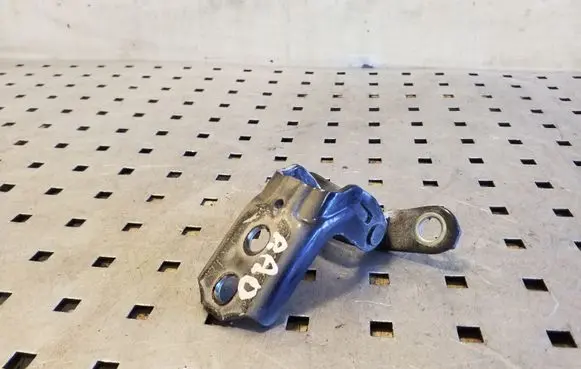 Nissan Juke I F15 Front door lower hinge 