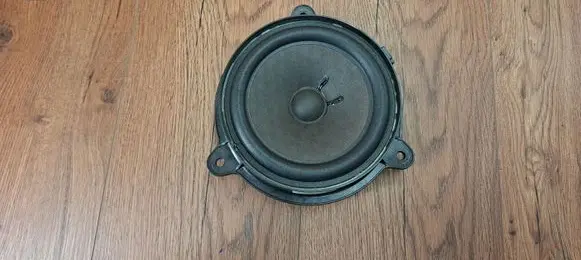 Rear door speaker