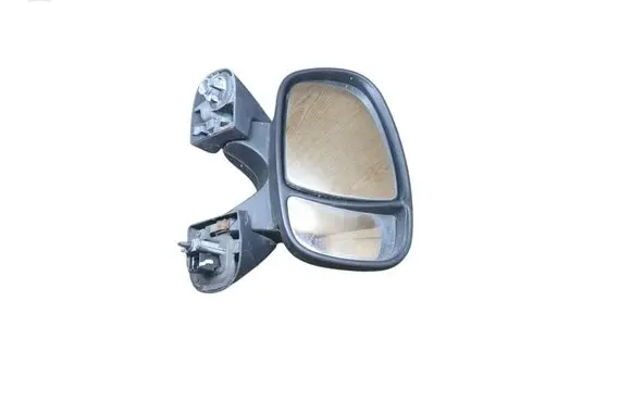 Renault Trafic II (X83) Front door electric wing mirror E2010022