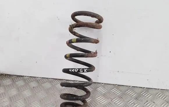 Hyundai Sonata Rear coil spring VEI11060
