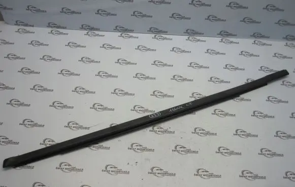 Dodge Journey Trim molding 