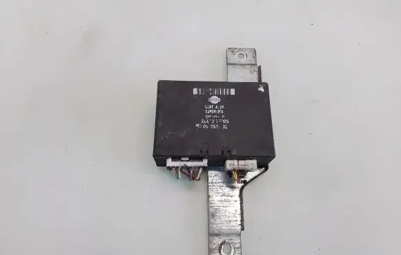 Nissan Terrano Other control units/modules