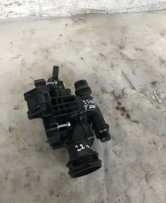 Thermostat/thermostat housing