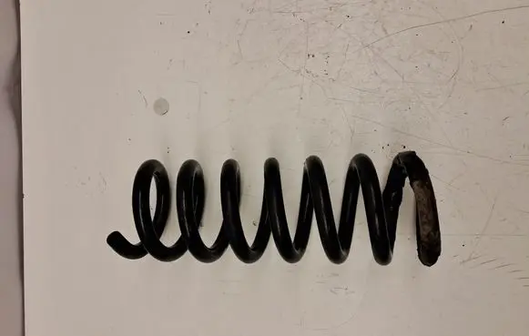 Rear coil spring