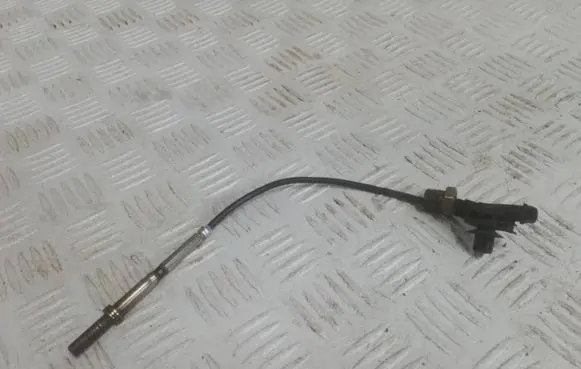 Fiat Doblo Exhaust gas temperature sensor 55254822
