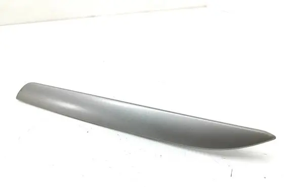 Other front door trim element