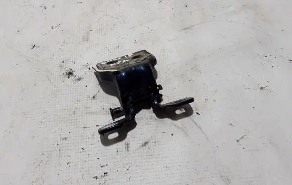 Dacia Duster II Front door lower hinge 