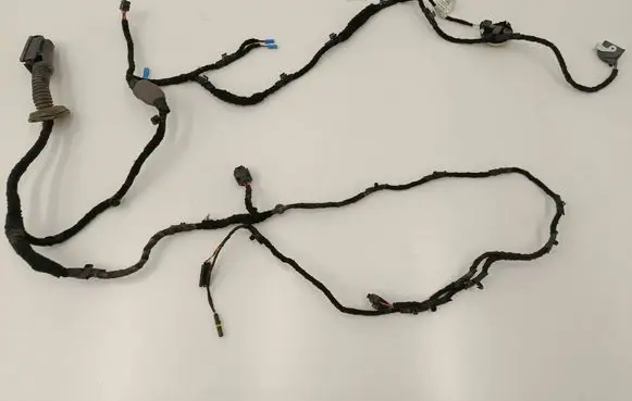 BMW 4 G22 G23 G24 G26 Front door wiring loom 5A10A56 5A494B6 4918258