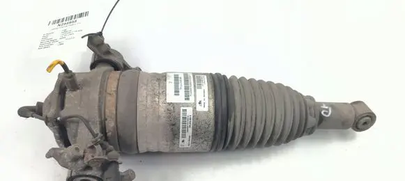 Porsche Cayenne (92A) Rear shock absorber/damper 7P5616020R