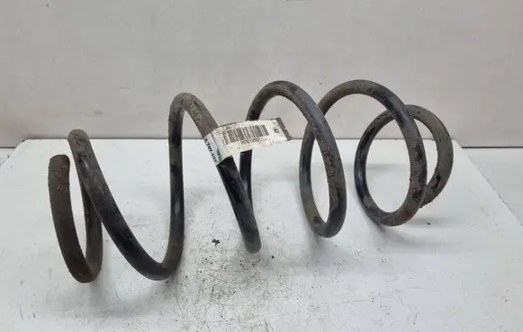 BMW X3 F25 Front coil spring 6787137