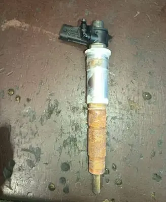 Renault Latitude (L70) Fuel injector 0445115084