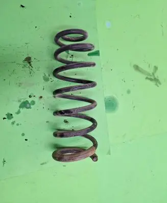 Rear coil spring