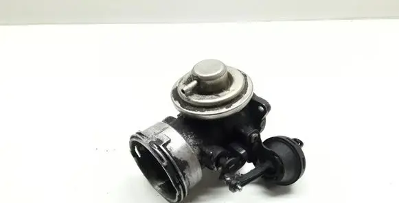 Seat Alhambra (Mk1) EGR valve 038131501J