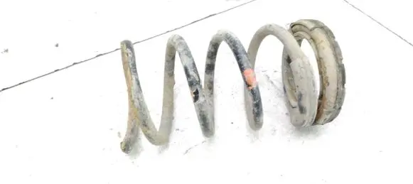 Rear coil spring