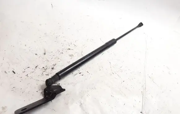 BMW 1 F20 F21 Tailgate/trunk strut/damper 51247239871 8135620455N