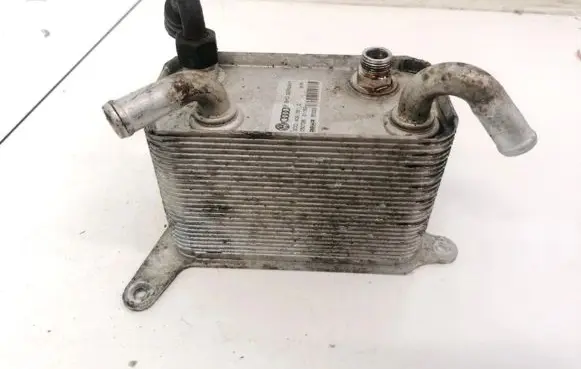 Volkswagen Phaeton Engine oil radiator 3D0409061G 050726