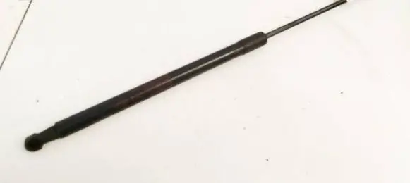 Nissan Qashqai Tailgate/trunk strut/damper 90450JD01B