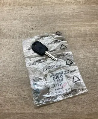 Peugeot 309 Ignition key/card 9170H2