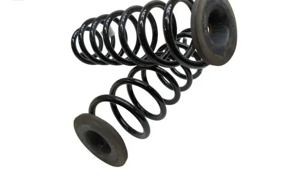 Rear coil spring