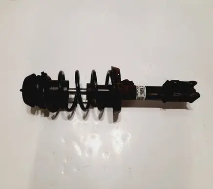 Opel Astra G Rear shock absorber with coil spring 24443531DTI